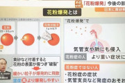 【悲報】黄砂と花粉、ガチでやばすぎる