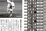 今年のドラフト1位、市和歌山・小園一択ｗｗｗｗｗｗｗｗ