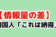 【衝撃】韓国人「日本の漫画とウェブトゥーン、1ページの情報量が違いすぎる」