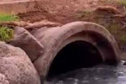【イヌ】 小川の途中にはトンネルがあった。サヨウナラ～♪ → 犬はこうする…