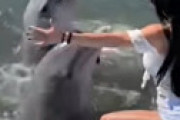 【動画】 イルカが美女を押し倒しとんでもないことをする決定的瞬間を激撮　獣の本能が暴発・・
