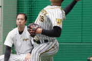 水曜の阪神の先発