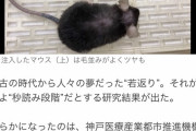 【画像】ハゲ、若者の血液注入で毛が生えてフサフサになる事が判明ｗｗｗｗｗｗｗｗｗｗｗｗｗｗｗｗ