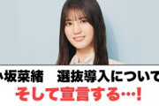 小坂菜緒　選抜導入について　そして宣言する　︎ひな誕祭のグッズツッコミどころだらけな件(日向坂情報)