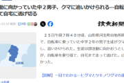 【悲報】中2男子「部活行く」→熊「こんにちは」男子「走った方が速ぇ！」→結果ｗｗｗｗ