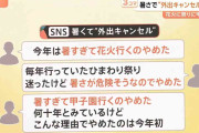 暑さで“外出キャンセル”続々…止まらない「海離れ」にカブトムシ離れ　変わる日本の夏【Nスタ解説】