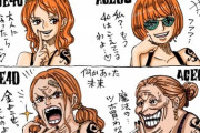 【画像】「ワンピース」のナミとロビンの老後、若すぎるｗｗｗｗ