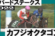 ホーさん、2週目にして新潟競馬場攻略ｗｗｗ日本競馬ちょろすぎｗｗｗｗ