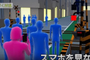 【動画あり】女さん、踏切の内側と外側を勘違いして死亡