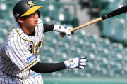阪神井上という今年大注目の選手