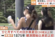 【悲報】8月の東京の真夏日の日数、31日…もう終わりだよこの国