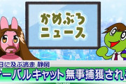 【youtube】かめぶろニュース動画版 第041回  静岡 サーバルキャット無事捕獲される【ちほー】