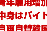 韓国政府が自画自賛で暴走！　「我々のおかげで青年雇用増加」　⇒　増えたのは短期バイトだけだった！　雇用の質が完全に崩壊！