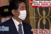 【正論】安倍晋三「(ワクチン予約システムの不備を指摘した)朝日、毎日は極めて悪質な妨害愉快犯」