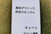 【警告】NHK『野菜せっけんが凄い。キャベツ、イチゴ、シイタケ』→ 炎上