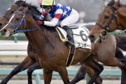 【競馬】　今週で100戦目のスワンボート(牡10)、JRAから高知へ移籍して現役続行