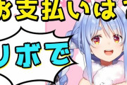 【悲報】あの悪名高い「リボ払い」が1ヶ月で35.3%急増‥‥旅行などサービス支出に利用か