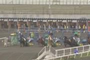 【ばんえい競馬の闇】出走馬の顔蹴り事件で、騎手ら5人を書類送検