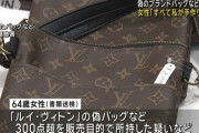 【悲報】ルイ・ヴィトンのバッグを自作して売ってた女を逮捕