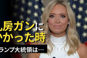トランプ「1807年反乱法！」米国「ﾄﾗﾝﾌﾟ再選！」日本「ﾊﾞｲﾃﾞﾝ就任ｷｬﾝｾﾙ！」謎の勢力「ファッ！？」GAFA「内部で南北戦争状態！（離職」バイデン「最低賃金上げる！」→