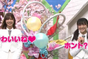 いよいよ明日放送！連日投稿されていた大好き櫻坂Twitter企画、渡邉理佐×原田葵コンビがお届けする最後のクイズ動画が公開