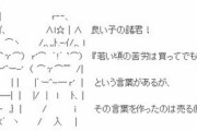 【警告】「若いうちの苦労は買ってでもしておけ」の苦労は”トライアンドエラー”の事だぞ