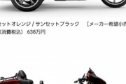 手取り21万ぼく「ほ～ハーレーってトライクもあるのか～、普通免許で乗れるみたいだしちょっと検索...」→結果ｗｗｗ