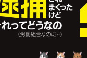 辻元セメント「ソーリ！」→議長「今から総理大臣に…」→辻「速記とめろ！真剣にやってんだよ！」