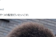 【画像】アニメアイコン「障害持ってるやつの髪型だいたいこれ」