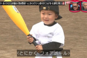 プロ野球って赤ちゃんを打席に立たせれば最強じゃね？？