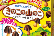 【3分の2サイズでかわいい】「きのこの山」が小さくなった「きのこの山のこ」発売wwwwwwww（画像あり）