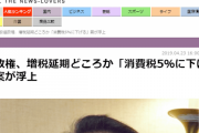 【消費税】維新、衆院選の公約案がこちら→消費税５％減税、所得税と法人税の減税