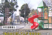 「俺の女に何してんだ」 公園でネコの世話をしていた男性に暴行　御朱印帳を奪う