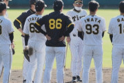 阪神・岡田監督　助っ人の特別扱いNO　補強打ち止め宣言も「力があったら若いやつに行くつもり」