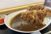 高速のサービスエリアで食べるご飯ｗｗ