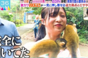 【ラヴィット！】小栗有以、石垣島でイルカとリスザルに触れ合う🐬🐿️🐵