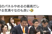 高市総理「海外から輸入した太陽光発電パネルを並べるのではなく、ペロブスカイトを普及していく」