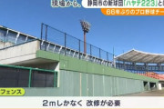 新プロ野球チームの“期待と課題”　静岡市を本拠地とする「ハヤテ223」とは？！？