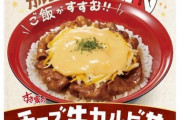 【速報】すき家の新作「チーズ牛カルビ丼」（700円）がめっちゃ旨そうだと話題に