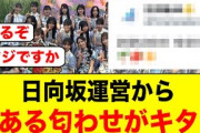 日向坂運営の匂わせに、おひさま大大大興奮の模様【日向坂46】