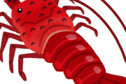 伊勢海老は高級品だから珍重されているだけで味は車海老やブラックタイガーの方が旨いってマジ？