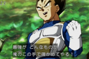 【ドラゴンボール】悟空・ベジータ「ウィスさんの所で毎日必死に修行したぞ」←まだまだビルス以下という現実ｗｗｗ