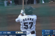 ロッテドラフト3位小川 打率.116(69-8) 14三振 OPS.353