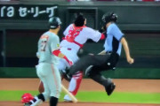 カープ會澤翼、審判とぶつかる→丁寧に謝る→ええんやで