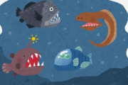 脊椎動物で一番繁栄に成功している生物、謎の深海魚だった…どういうことやこれ