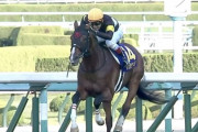 アスクビクターモアは有馬記念へ！　廣崎オーナー「一番得意なのは中山ですから」