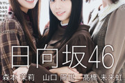 【日向坂46】『MARQUEE』裏表紙にこのトリオが登場！ロングインタビューも！！！