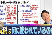 消費税20%にして子どもに毎年100万円あげれば良くね