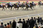 最近毎週末に競馬場言ってるんやが、これがギャンブル依存症ってやつなんか？