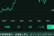 【悲報】ビットコイン値上がりする